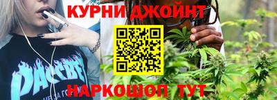 сатива Шебекино