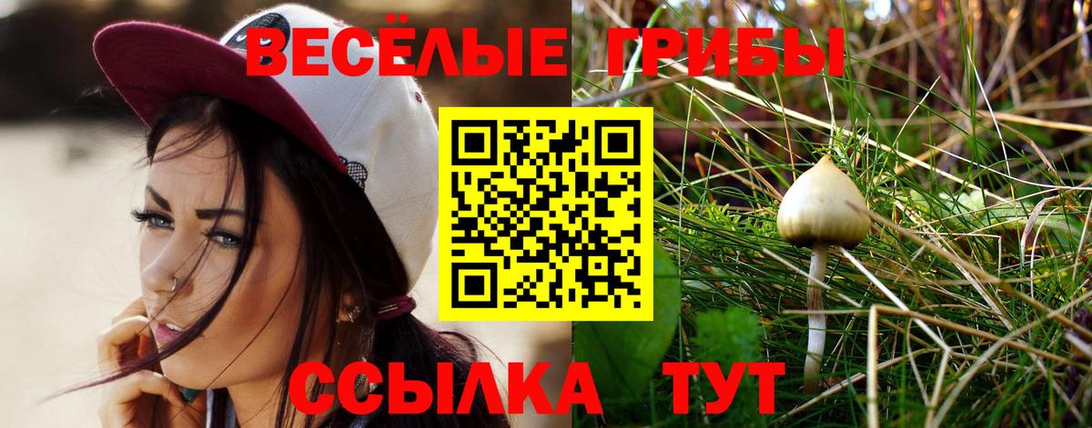 Псилоцибиновые грибы мухоморы  Псилоцибиновые грибы мицелий  Приморско-Ахтарск  Вход с VPN 
